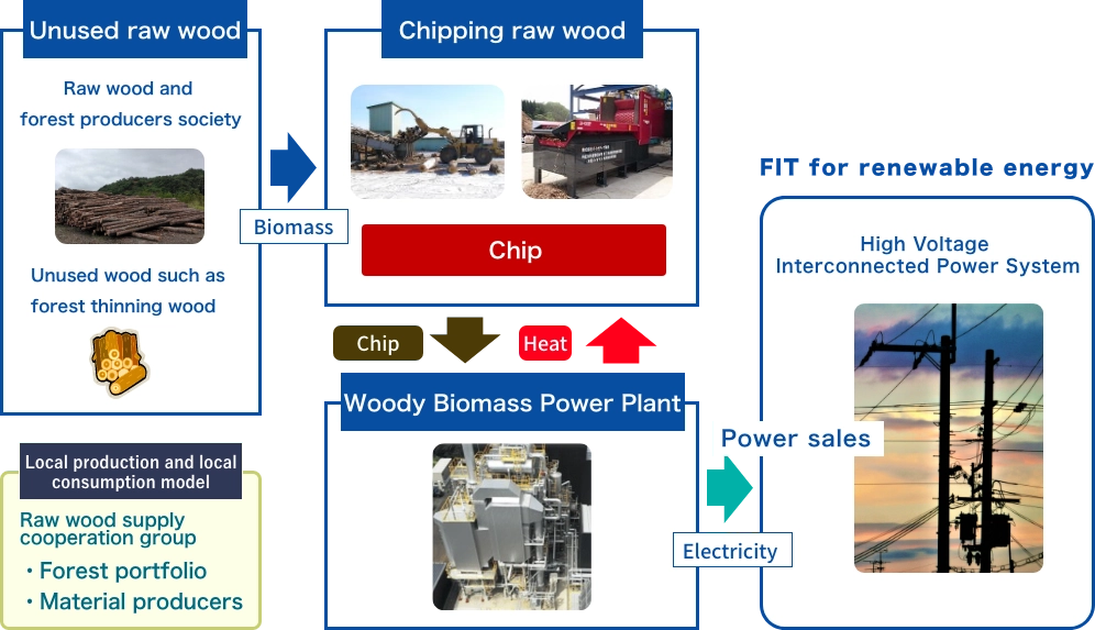 Biomass Chip Image 3